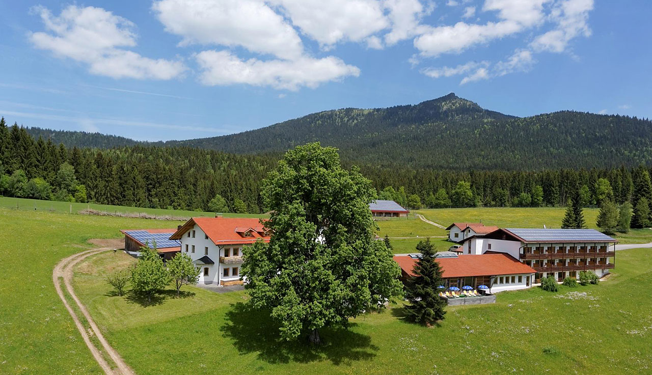 Bayerischer Wald