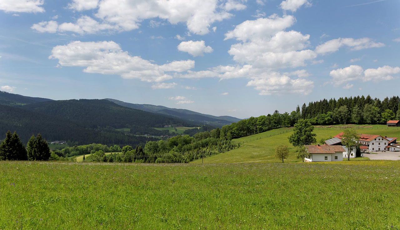 Bayerischer Wald