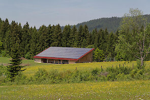 Bayerischer Wald